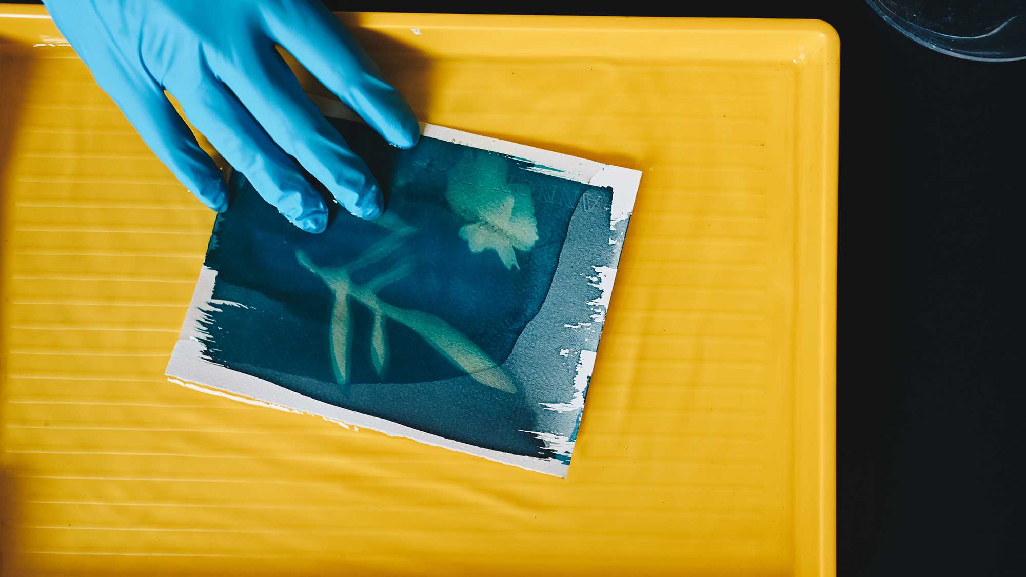 Når lyset falder ind